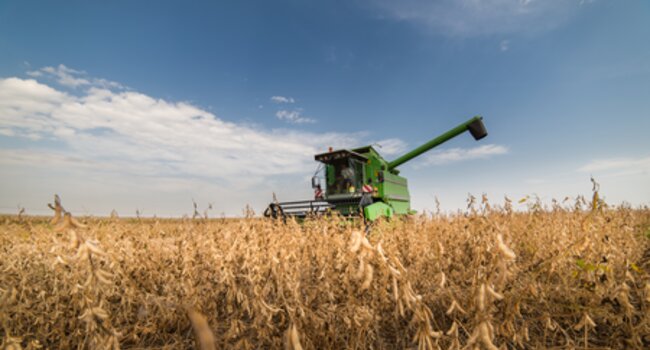 Proforest oficializa participação na Aliança da Soja Sustentável reforçando compromisso com a sustentabilidade da cadeia da soja no Brasil