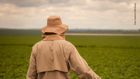 man in a soy field