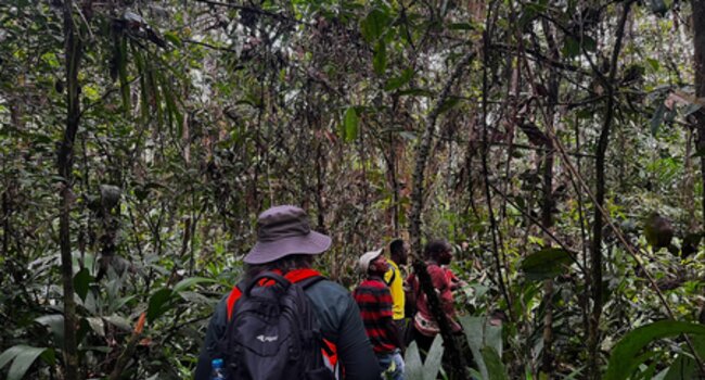 Nitrian Community Forest in Liberia