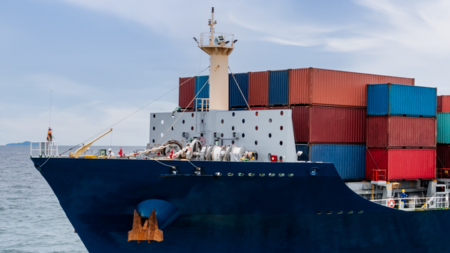 Exporters from Brazil and EUDR: beef and soy dry runs