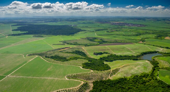 Production Landscape Brazil