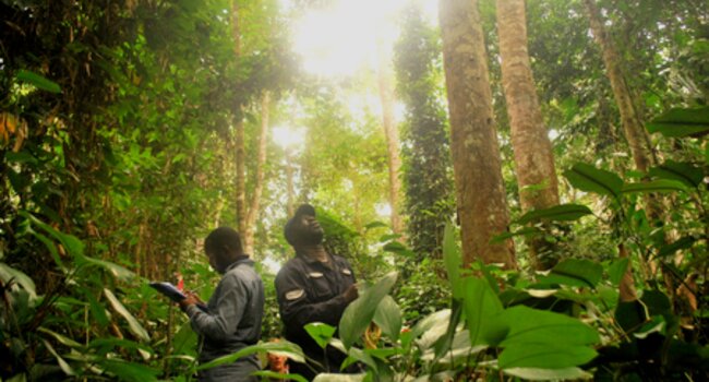 Regulation and Beyond: Forest Governance Lessons from LCAW ‘26