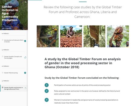 Taking fieldwork into a virtual classroom