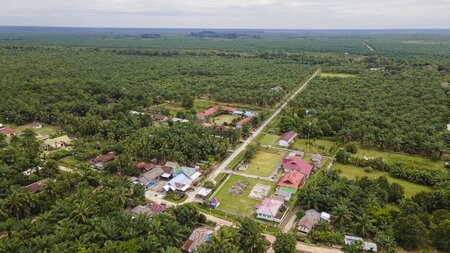 Sungai Linau Livelihoods