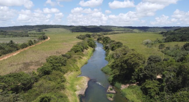 A importância de uma maior diversificação do financiamento para a resiliência da agricultura brasileira